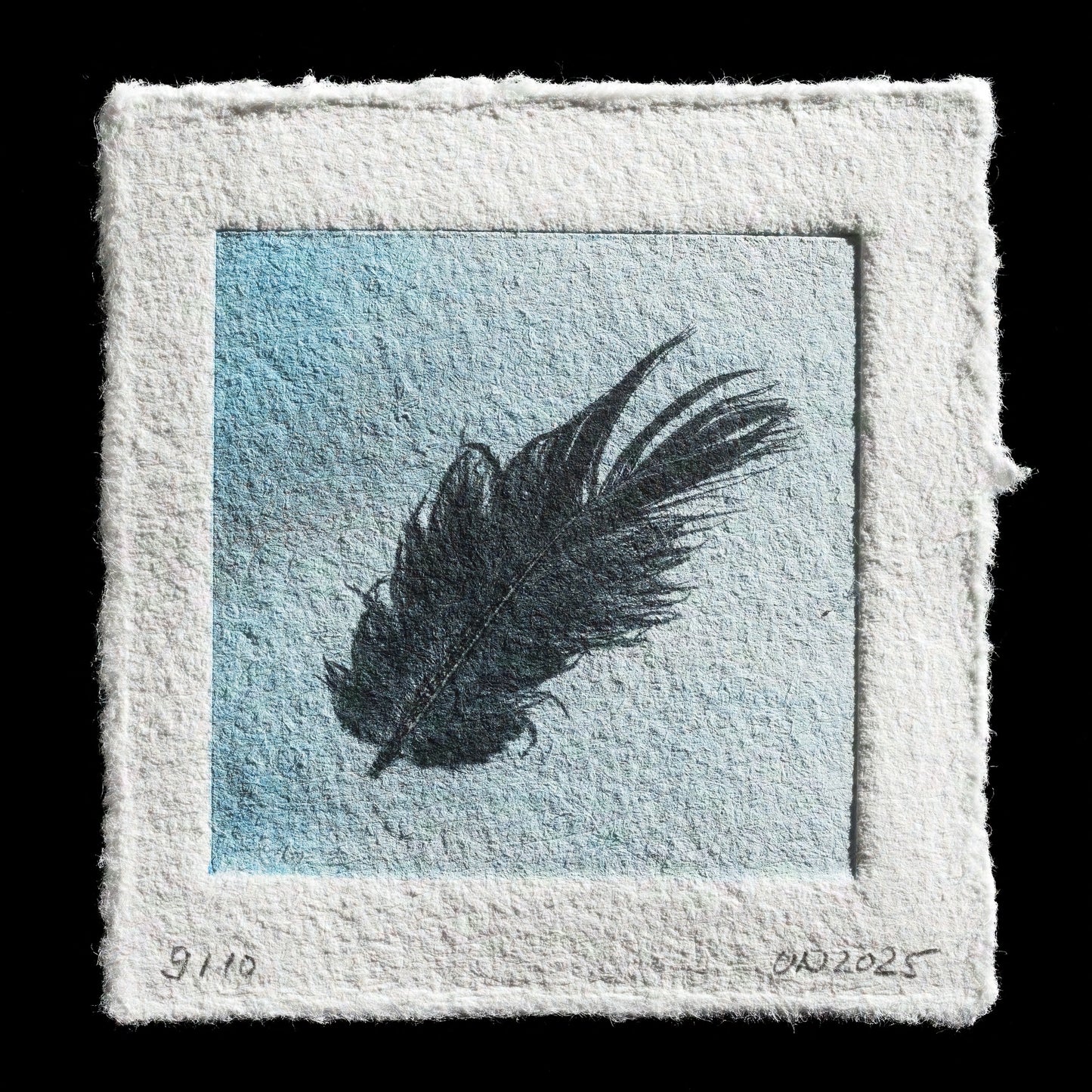 "Feather" by Uta Neubauer