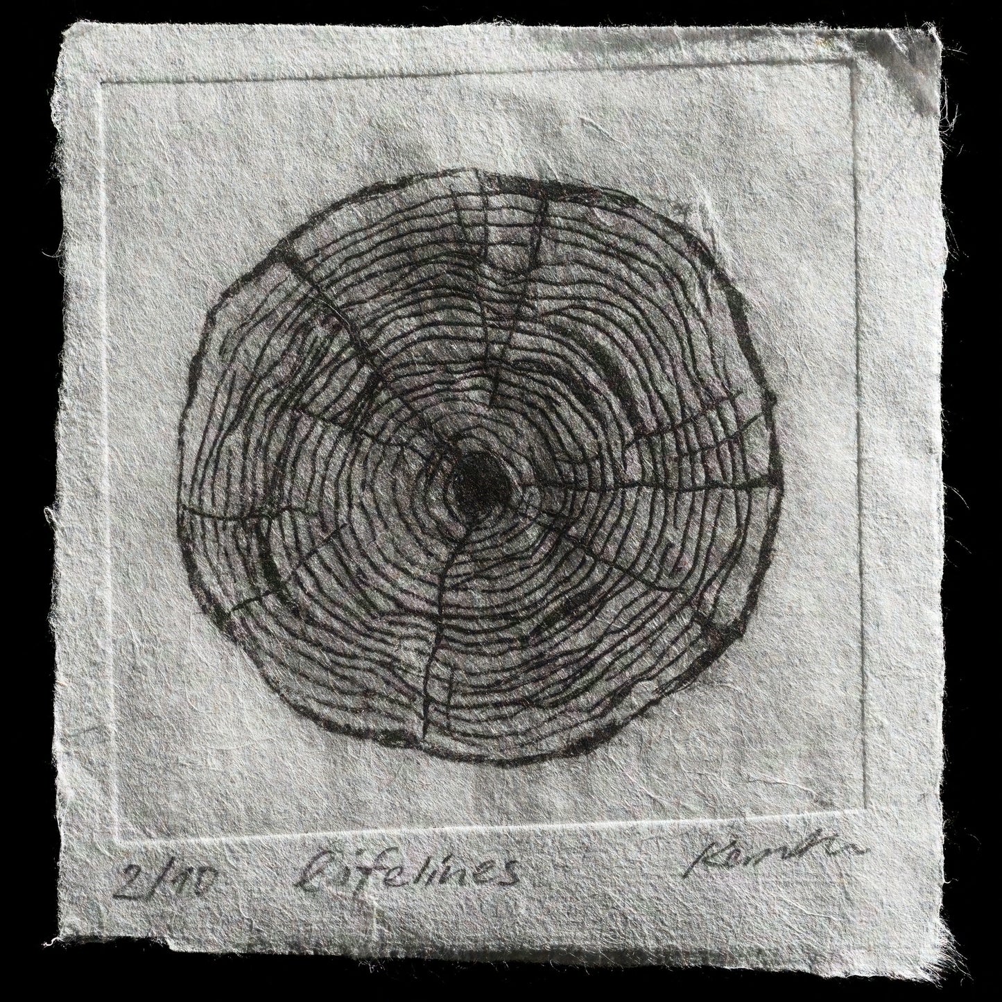 "lifelines" by Kersten von Sohlern