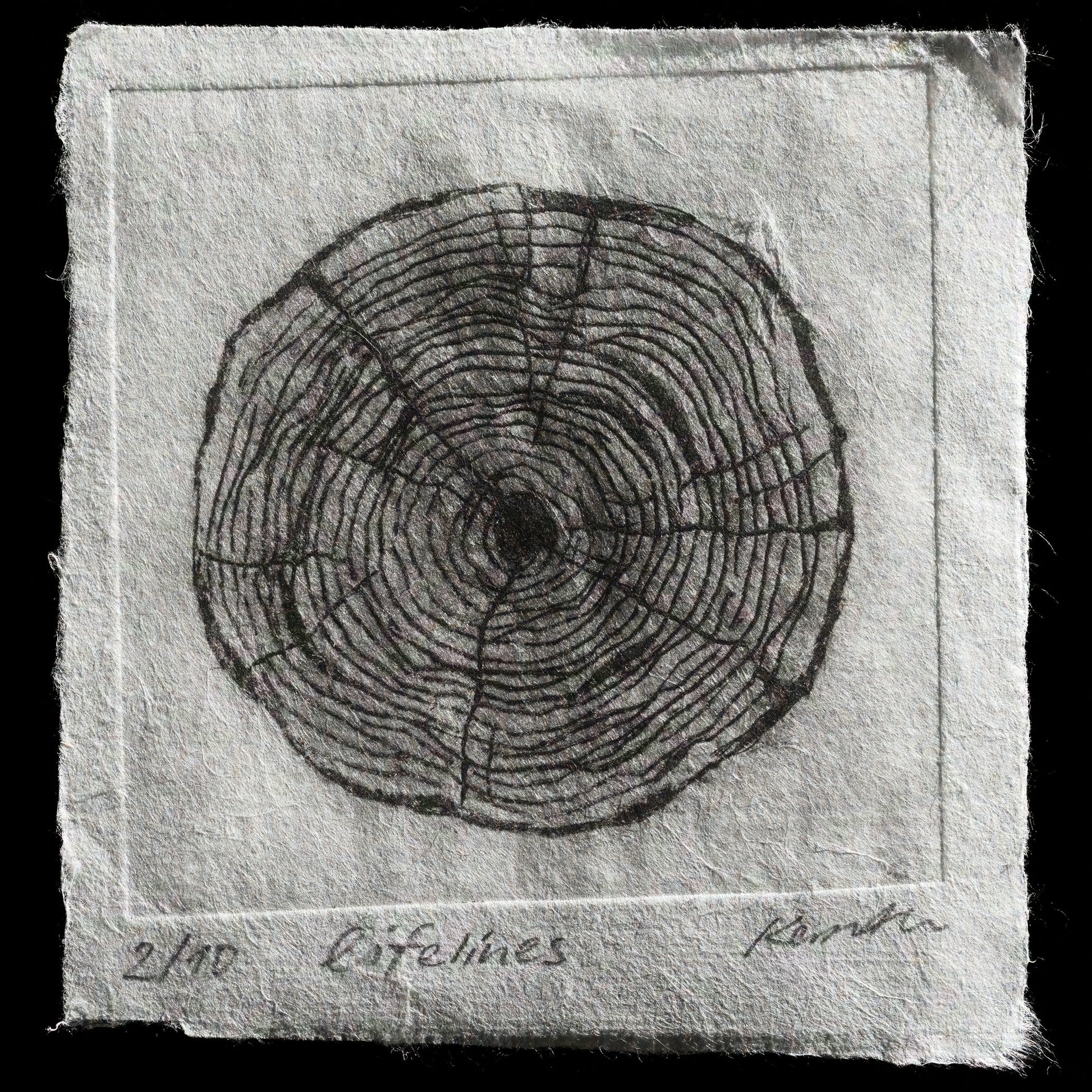 "lifelines" by Kersten von Sohlern