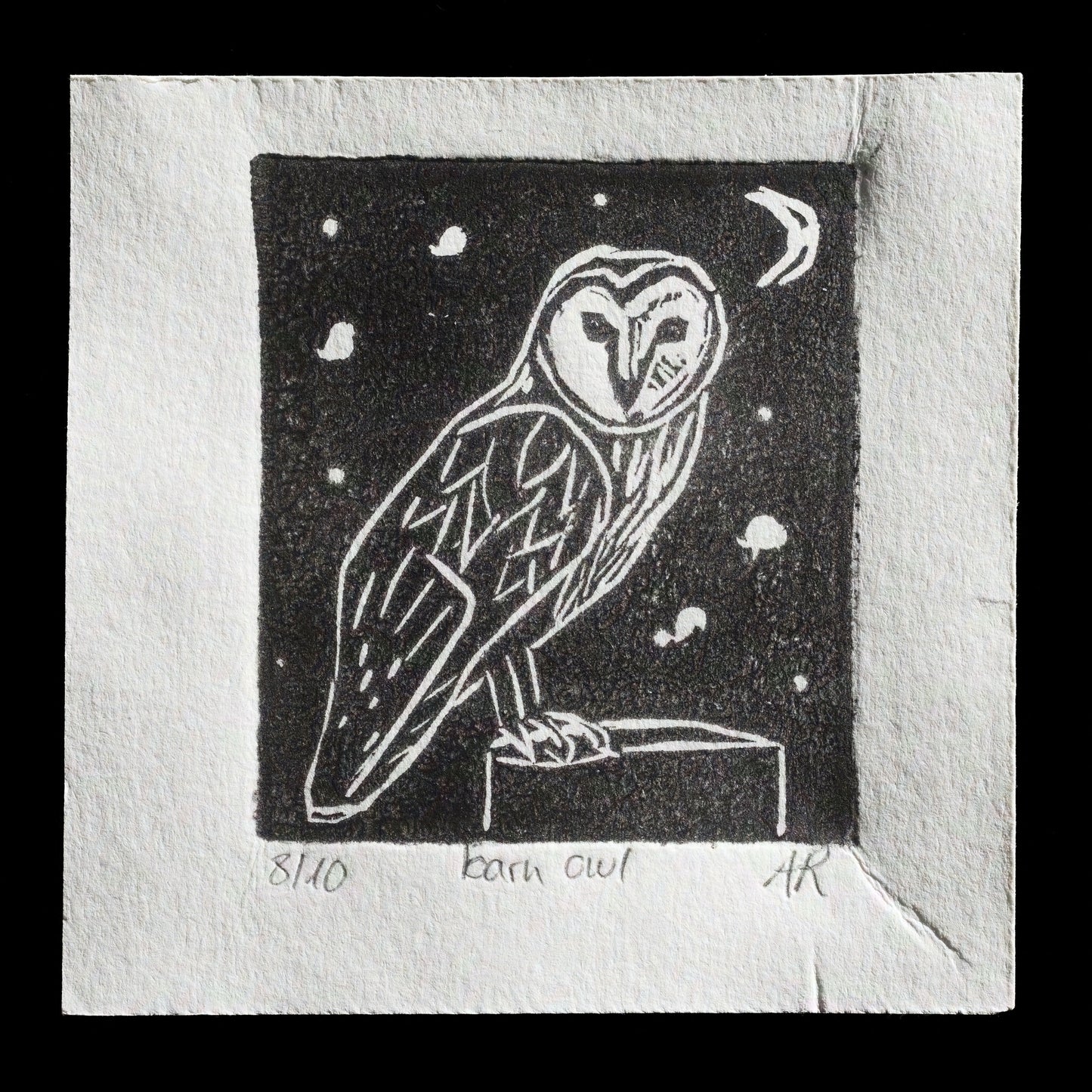 "barn owl" by Anne Rapp