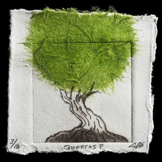 "Quercus?" by Jay Ekleberry