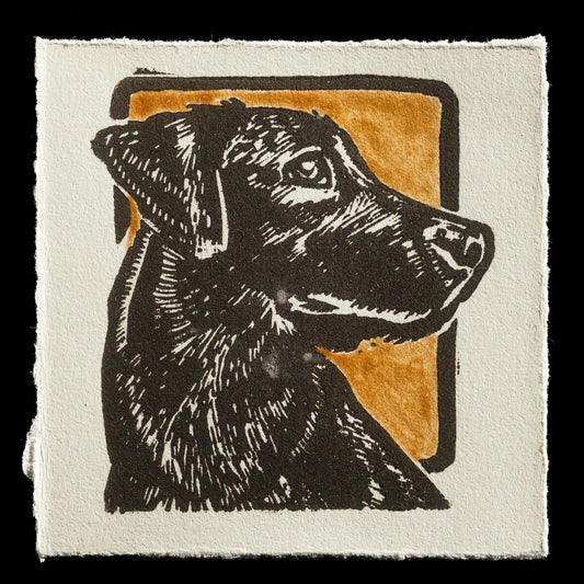 "Suki" by Karl Laun