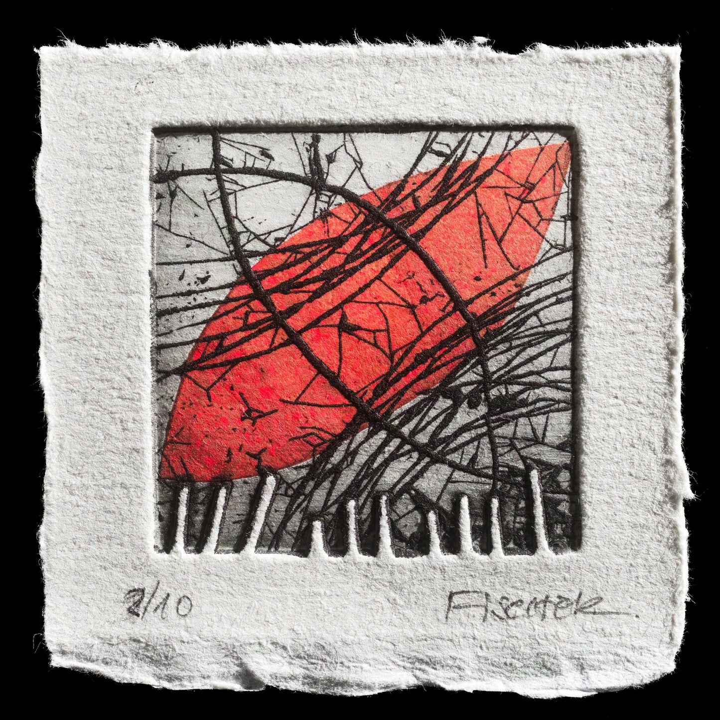 "spring is coming" by Antje Fischer