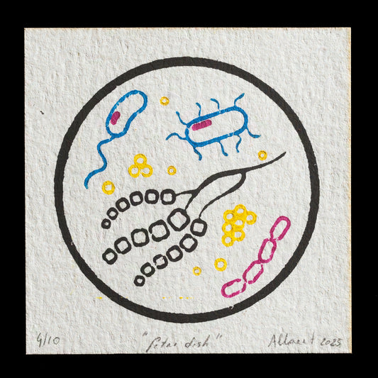 "Petri dish" by Isabel Allaert