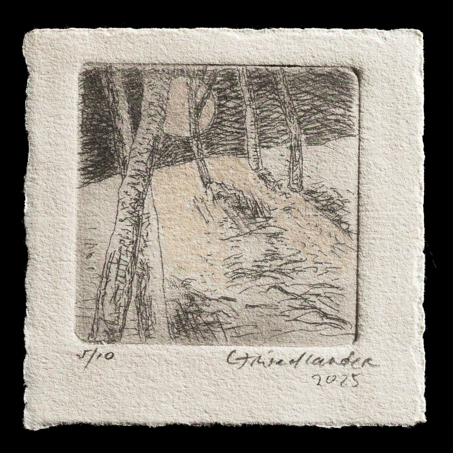 "Alight" by caryn friedlander