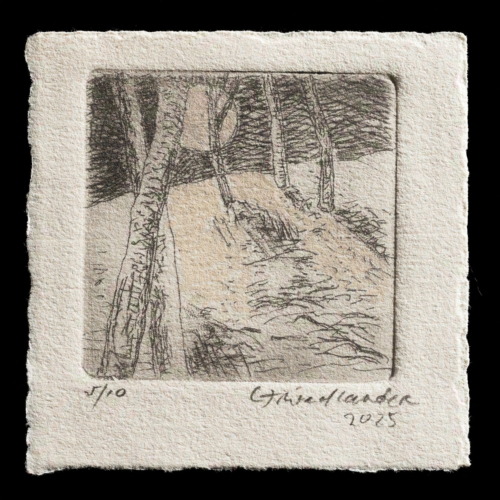 "Alight" by caryn friedlander