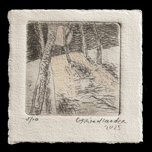 "Alight" by caryn friedlander