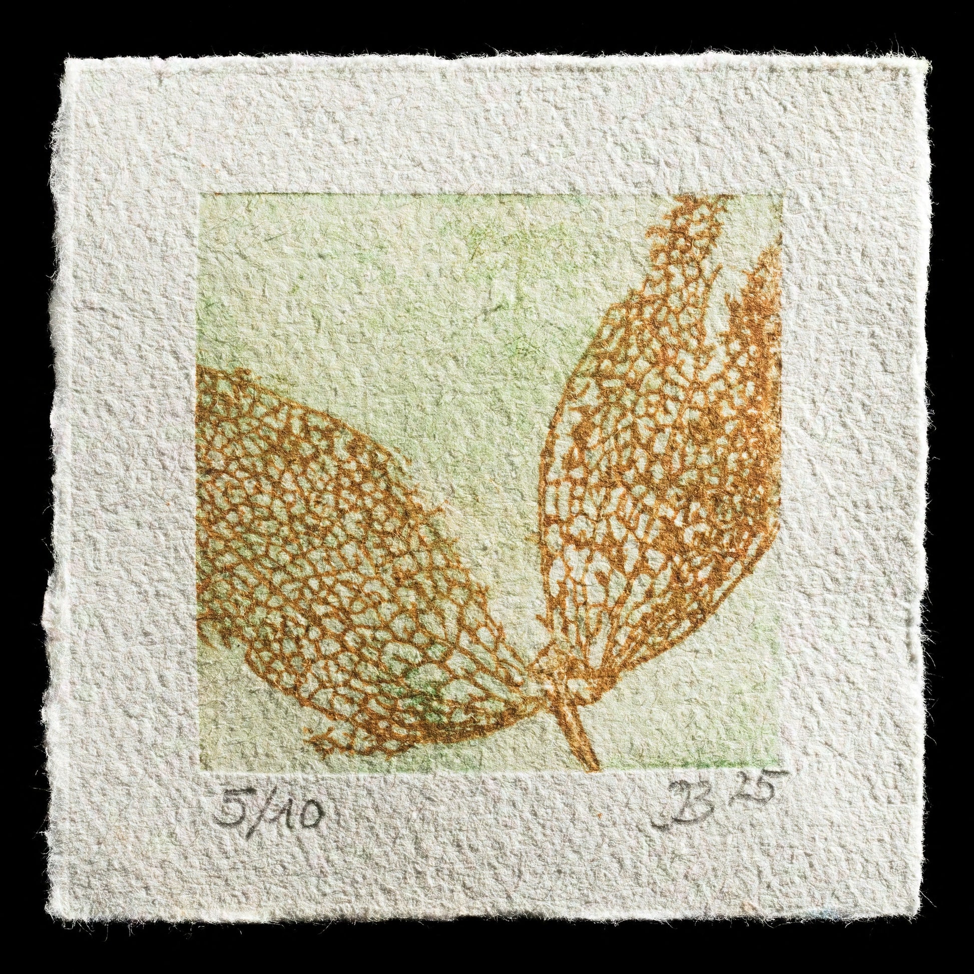 "Lantern Flower" by Inge Ballering