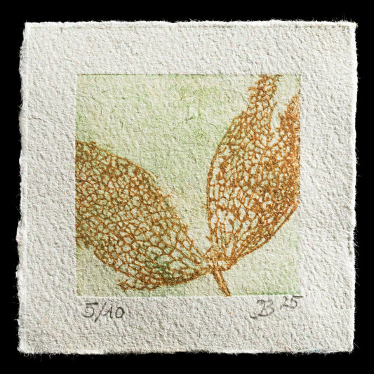 "Lantern Flower" by Inge Ballering