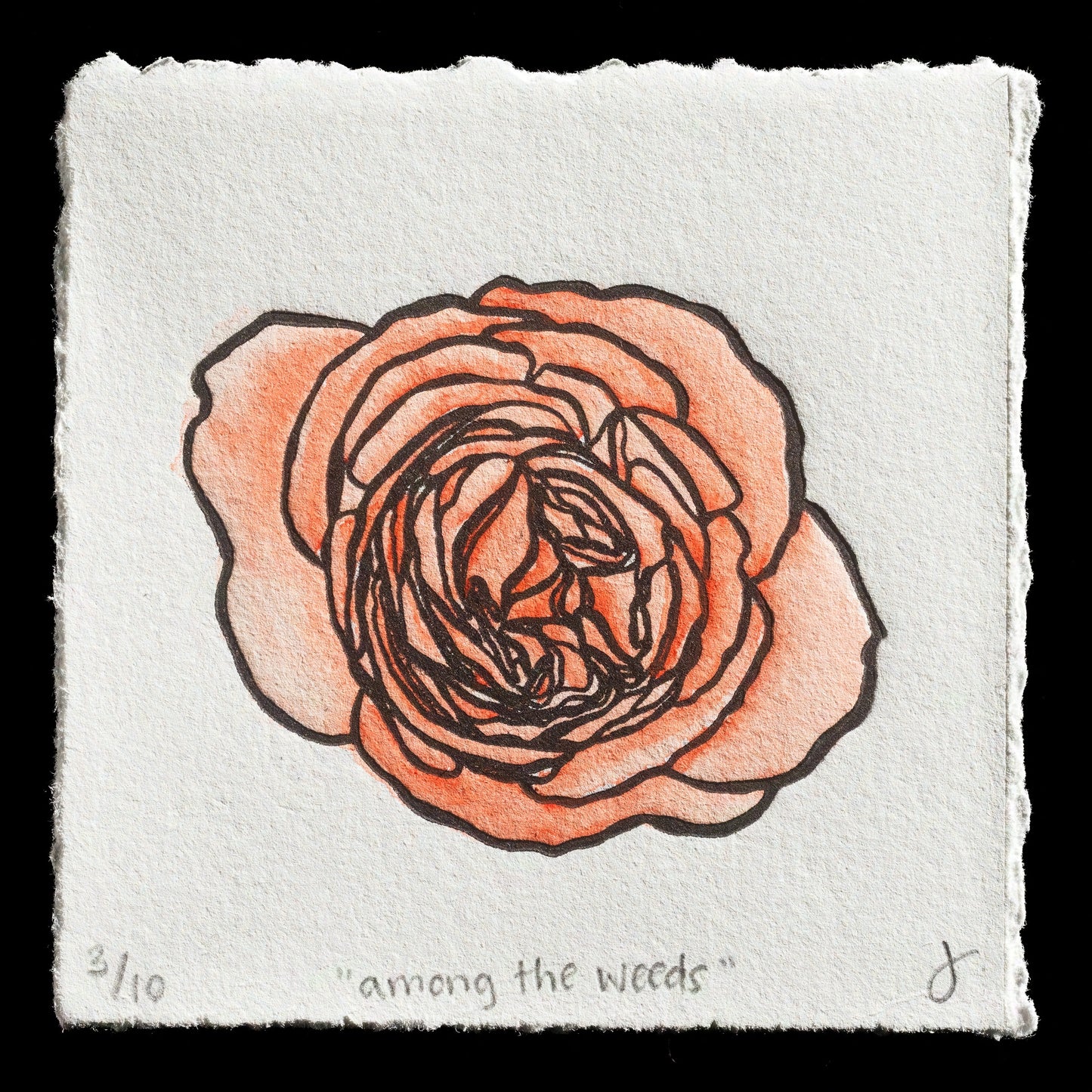 "among the weeds " by Jenna Williamson