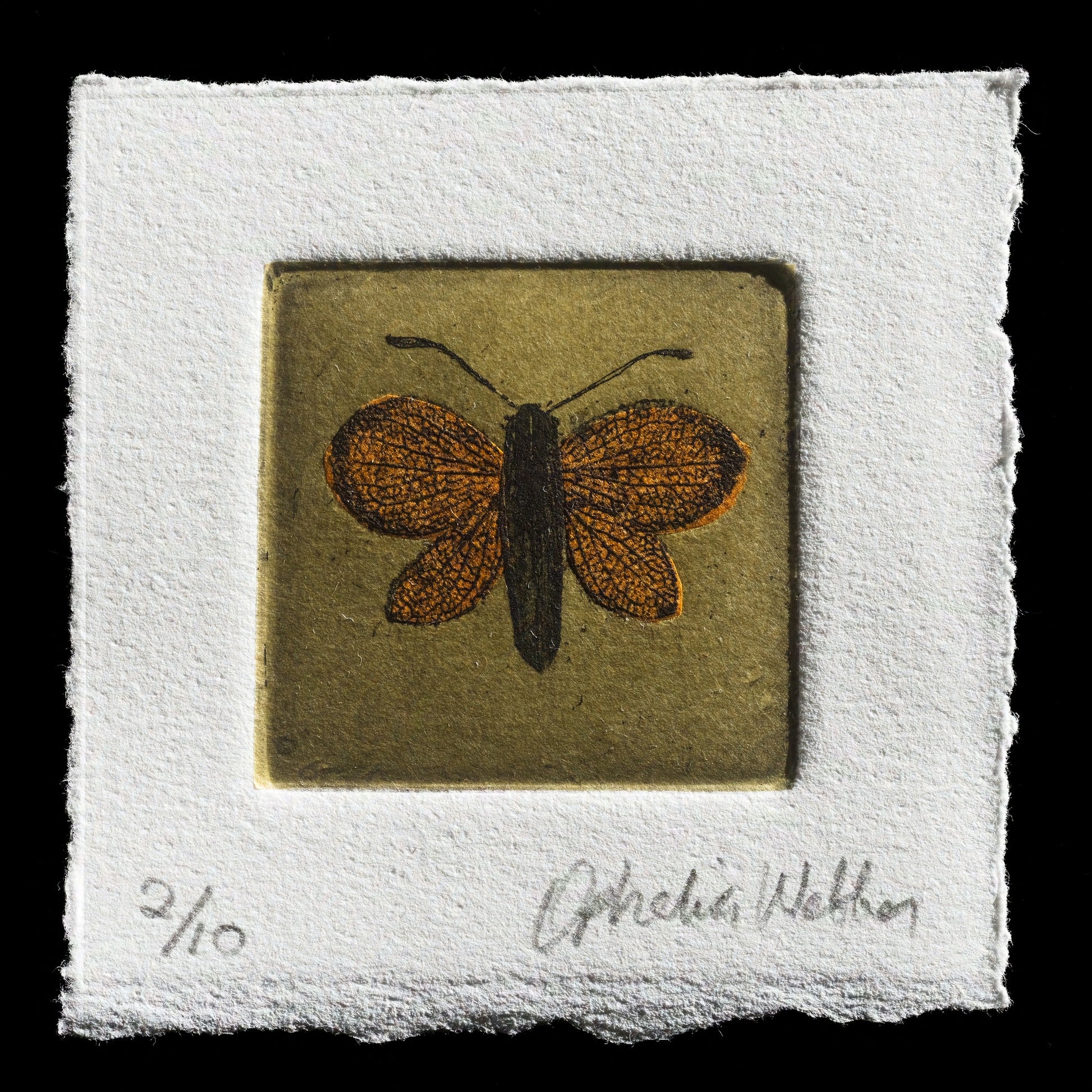 "Untitled" by Ophelia Webber
