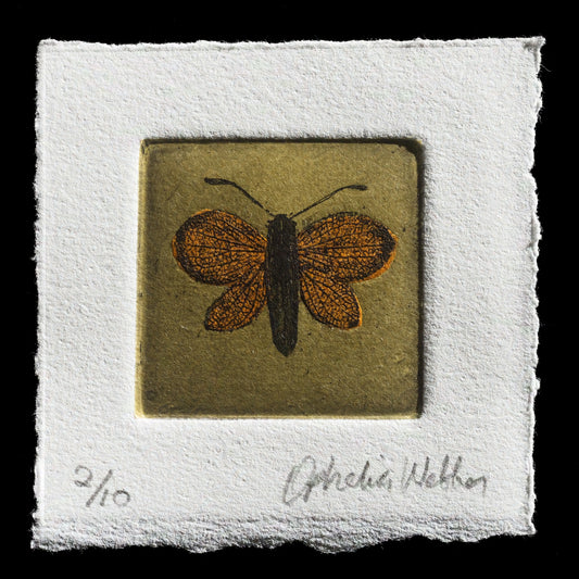 "Untitled" by Ophelia Webber