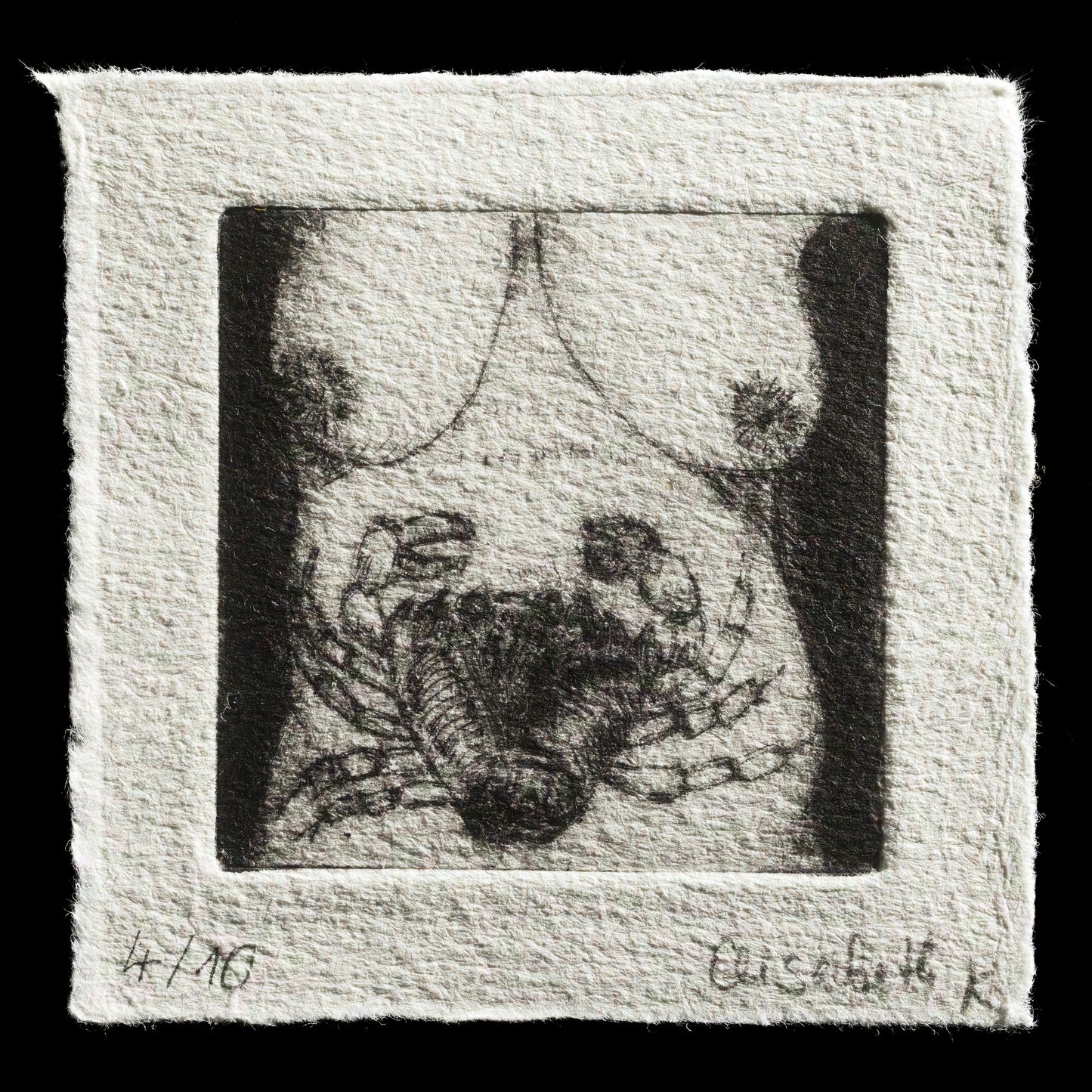 "diagnosis" by Elisabeth Kirschbaum