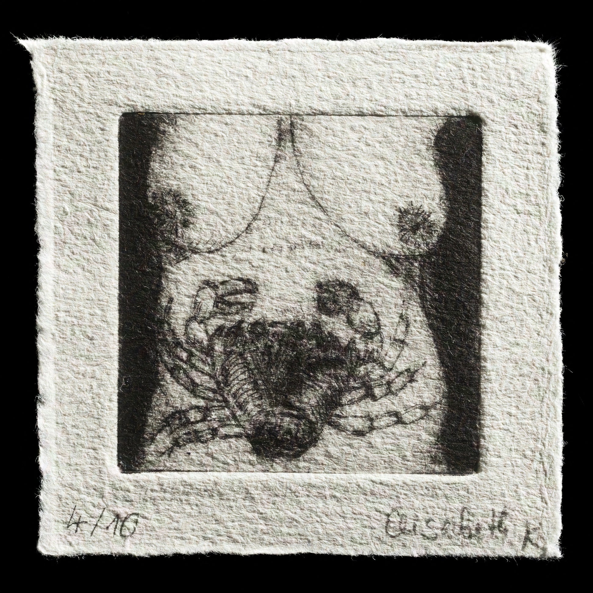 "diagnosis" by Elisabeth Kirschbaum