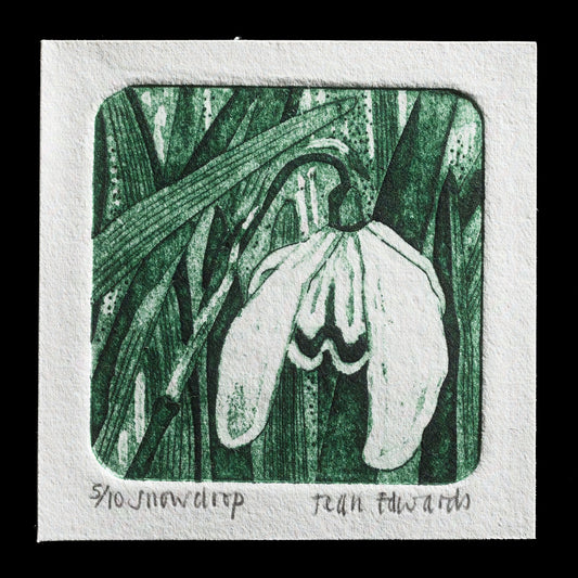 "Snowdrop" by Jean Edwards
