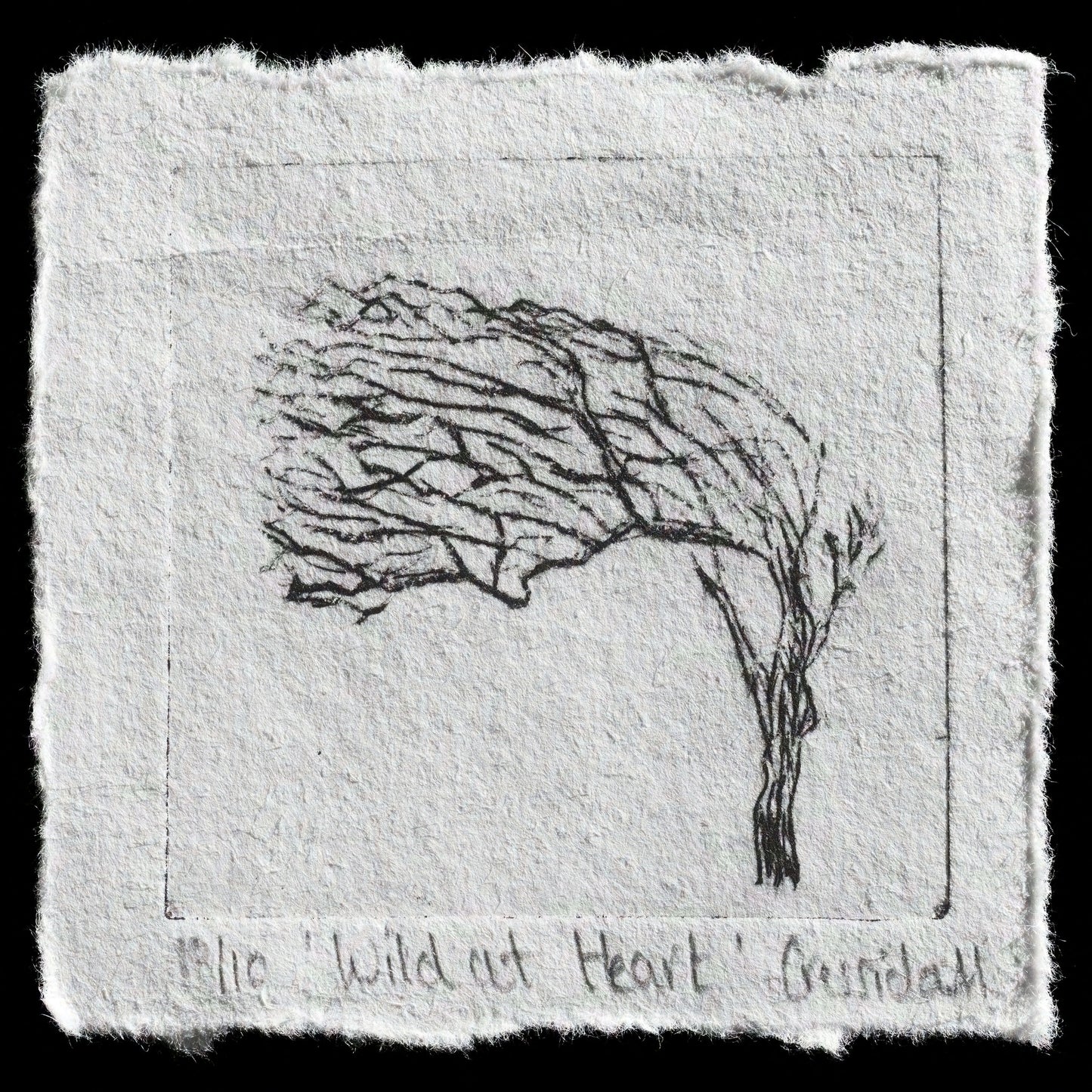 "Wild at heart " by Cressida Murray