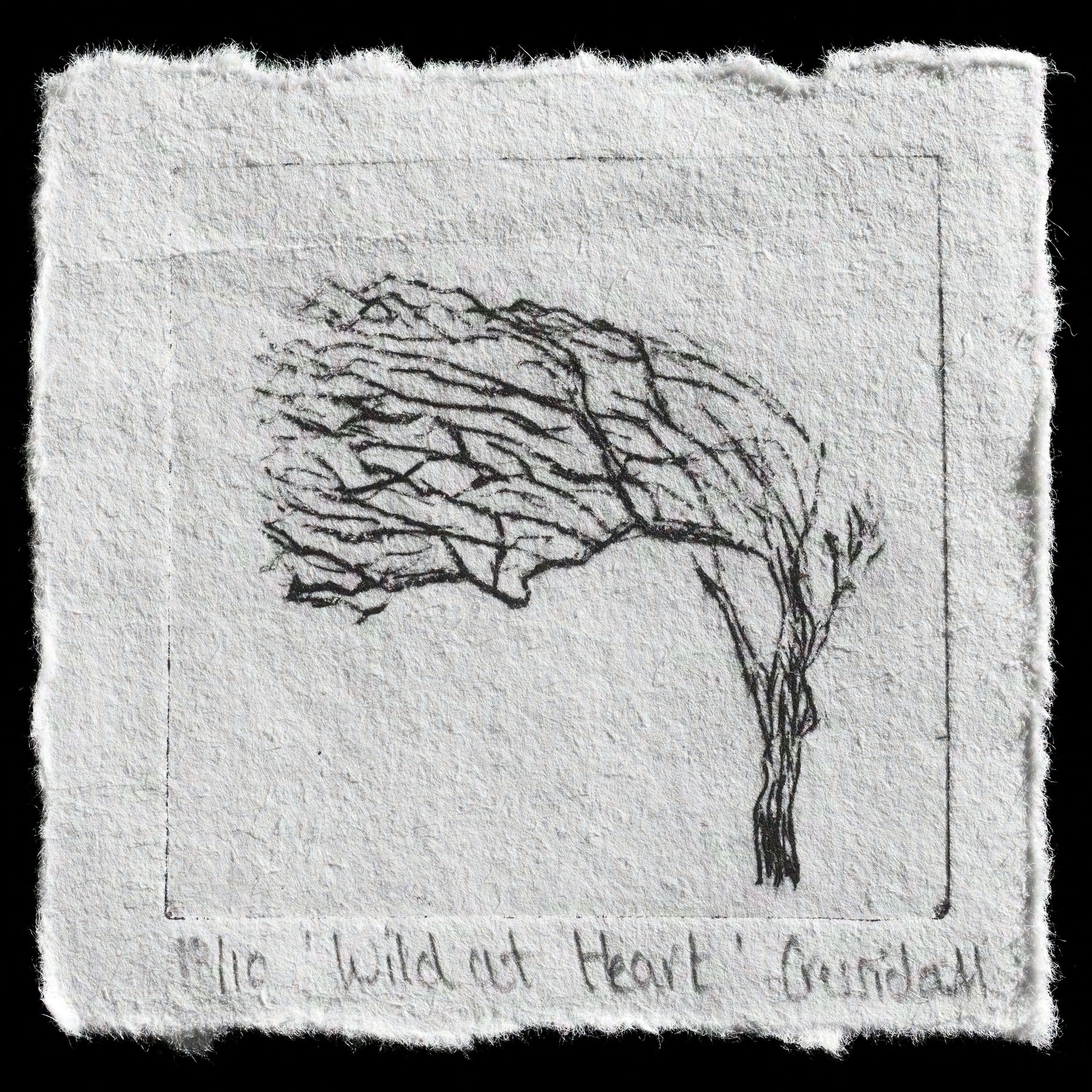 "Wild at heart " by Cressida Murray
