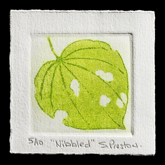 "Nibbled" by Sue Preston