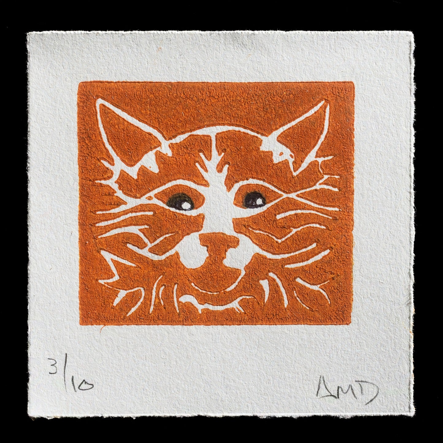 "Moe" by Anne Dambrowski