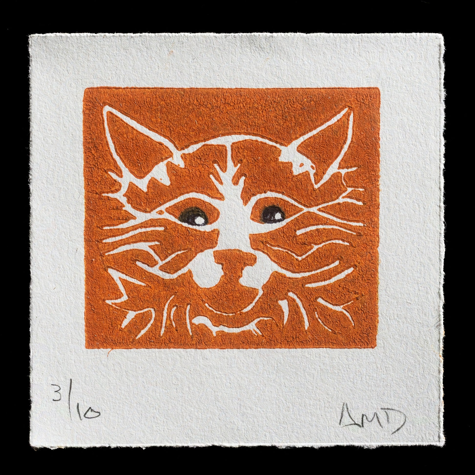 "Moe" by Anne Dambrowski
