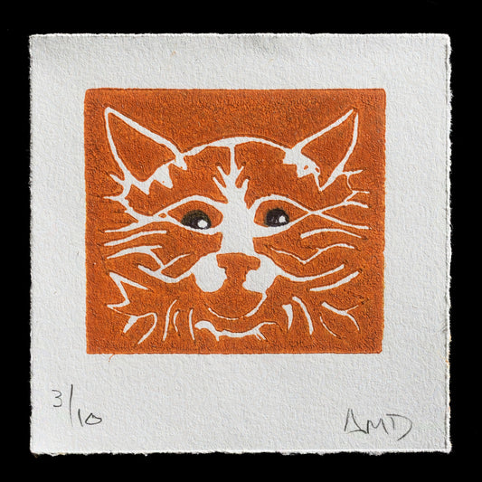 "Moe" by Anne Dambrowski