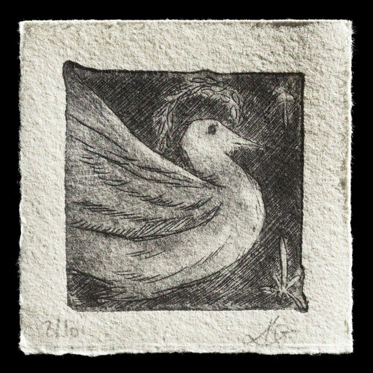 "dove" by Karolina Gruschka