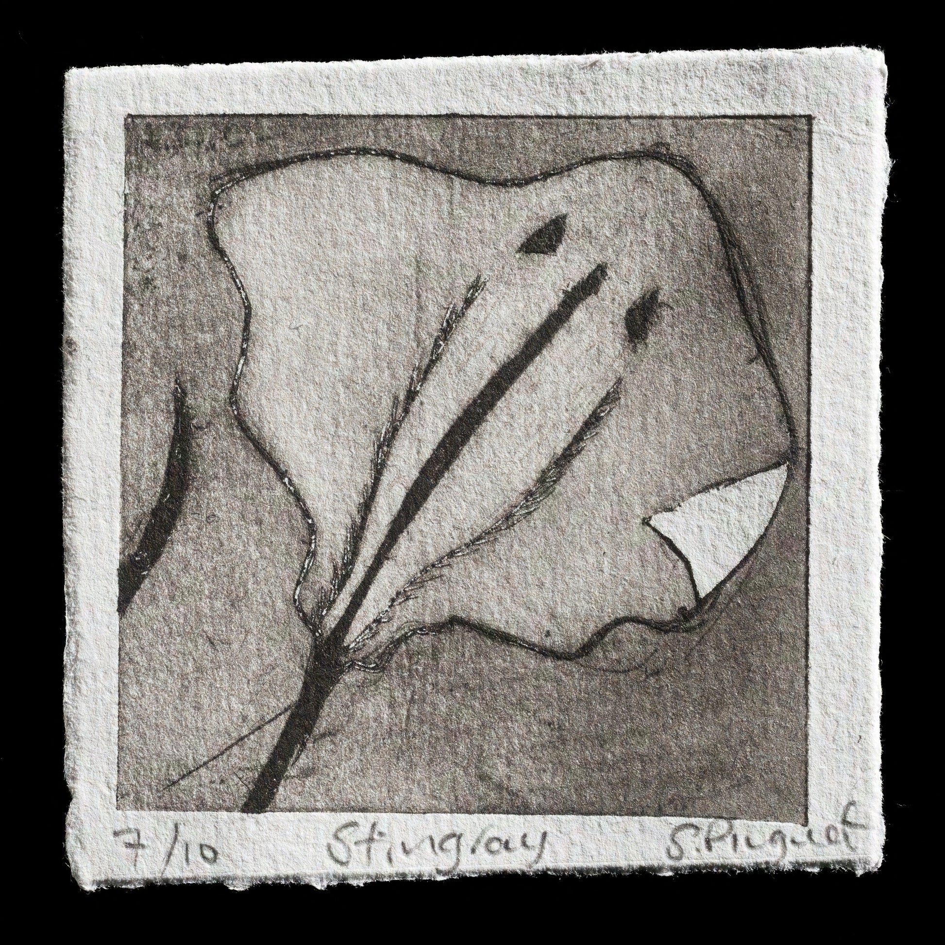 "Stingray" by Suzy Pinguet