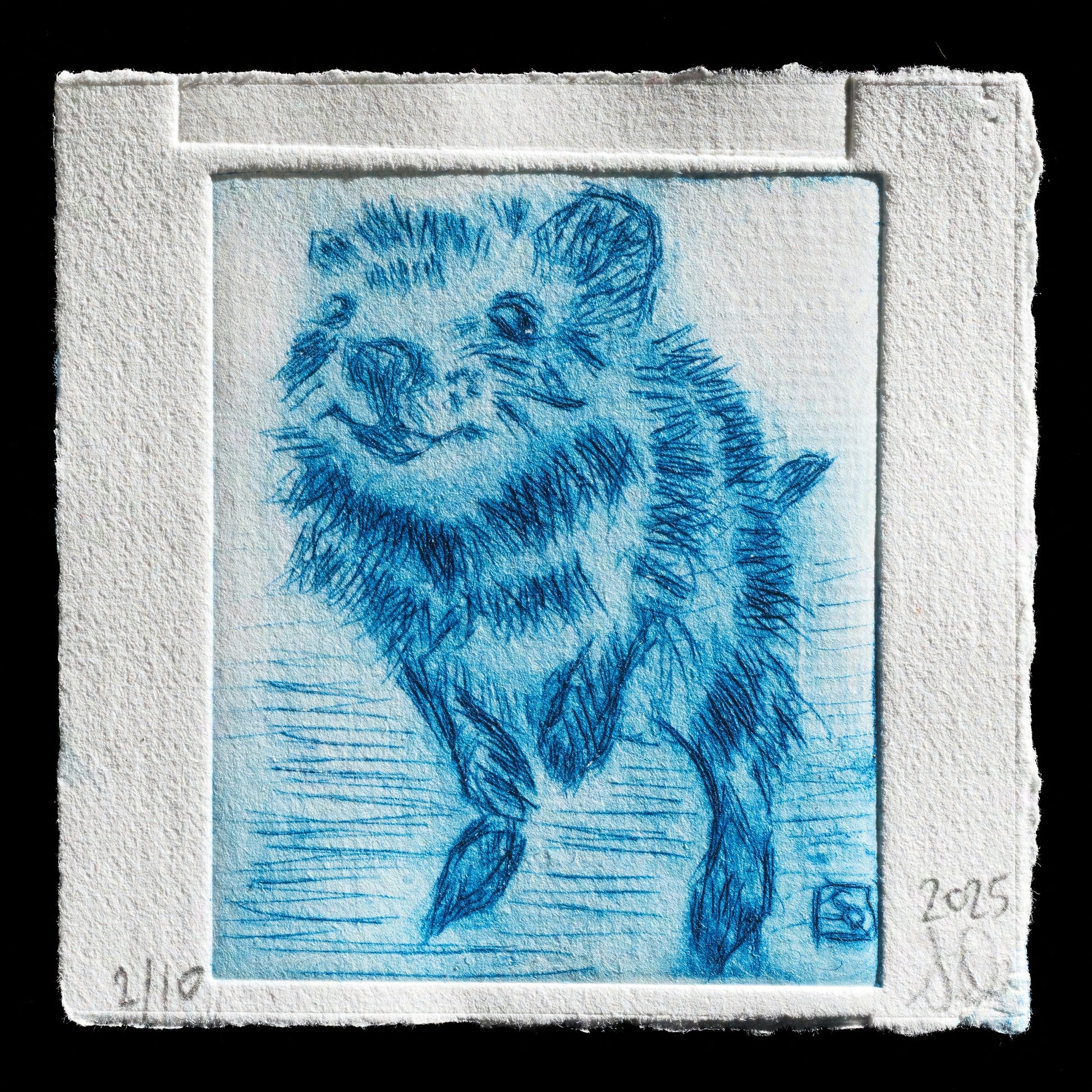 "Quokka" by S. Quick