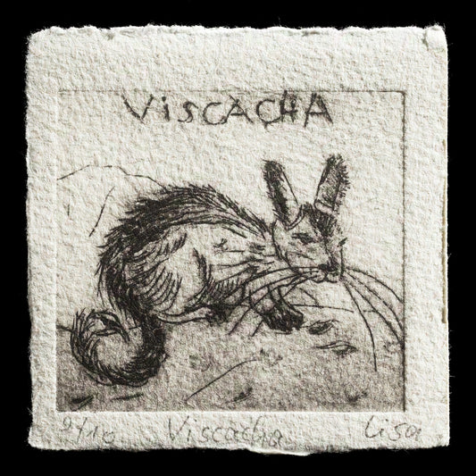 "Viscacha" by Lisa Schneider