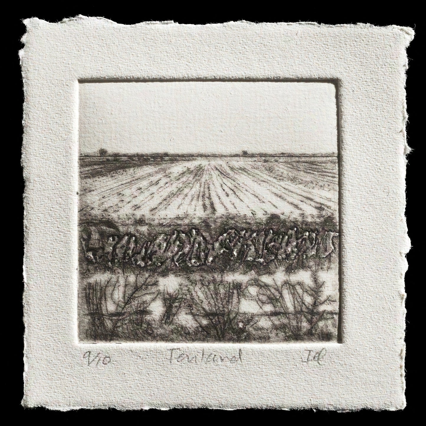 "Fenland" by Iona Howard
