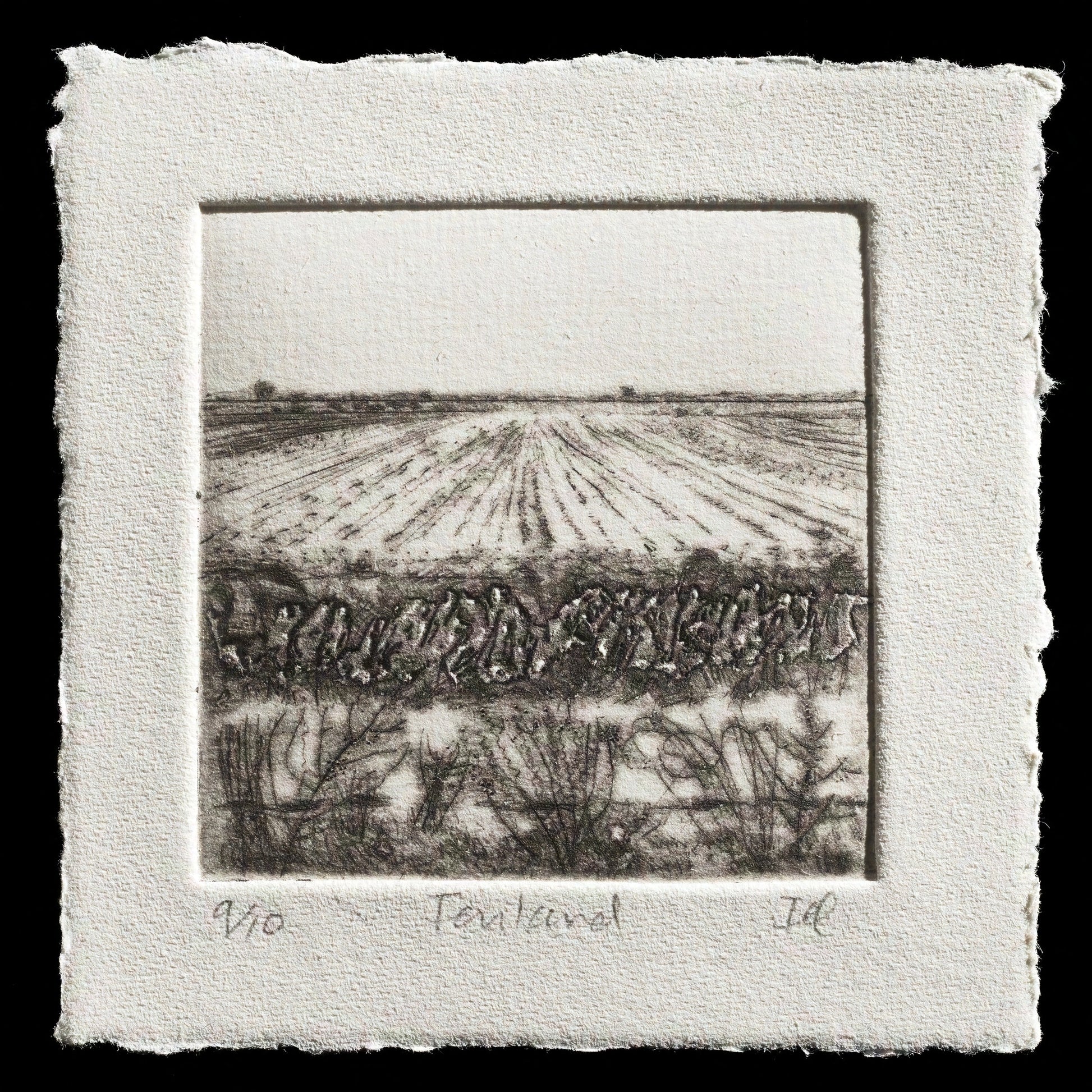 "Fenland" by Iona Howard