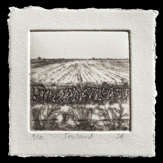 "Fenland" by Iona Howard