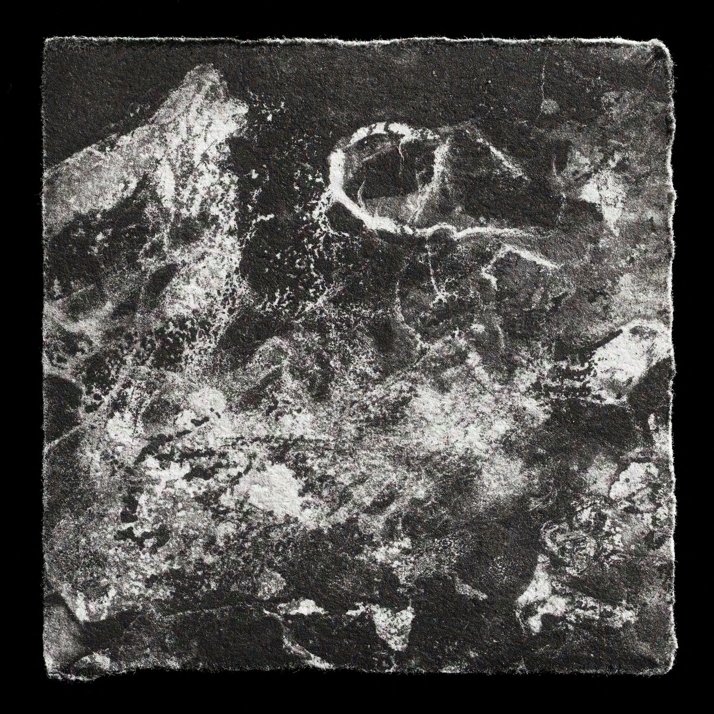 "‘In Stasis’" by Dylan Buckley