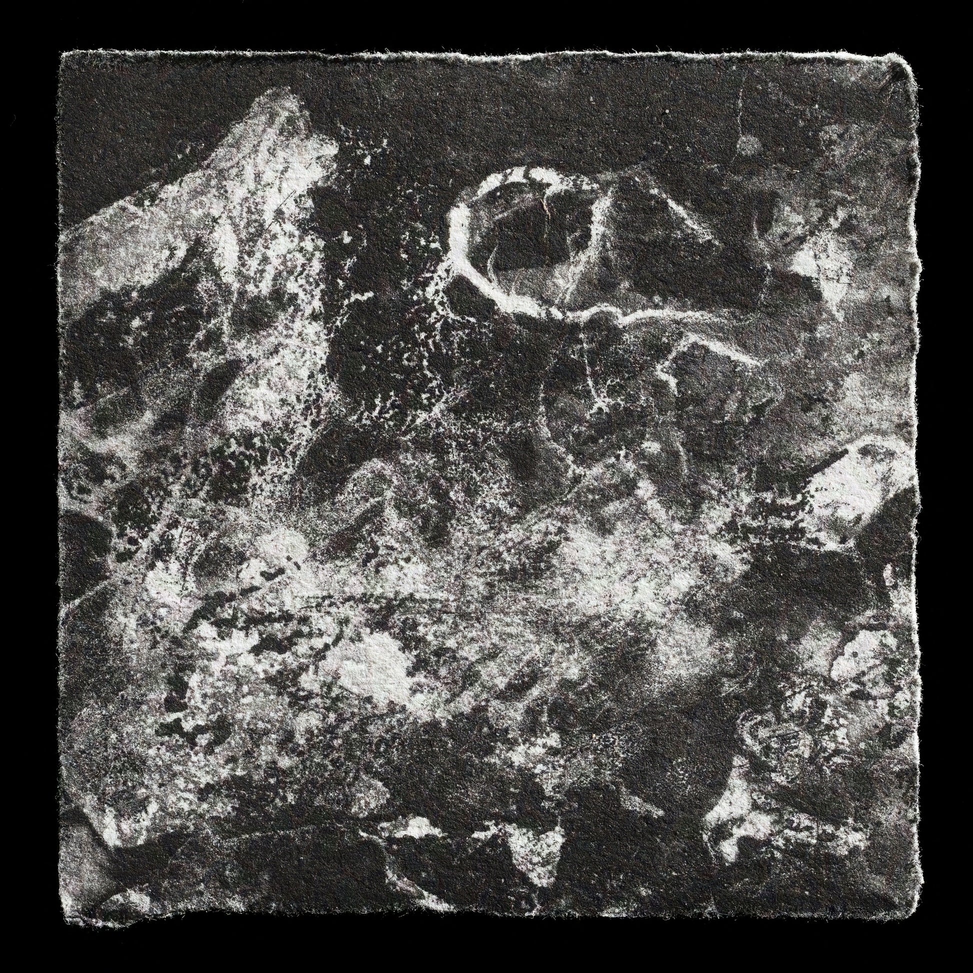 "‘In Stasis’" by Dylan Buckley