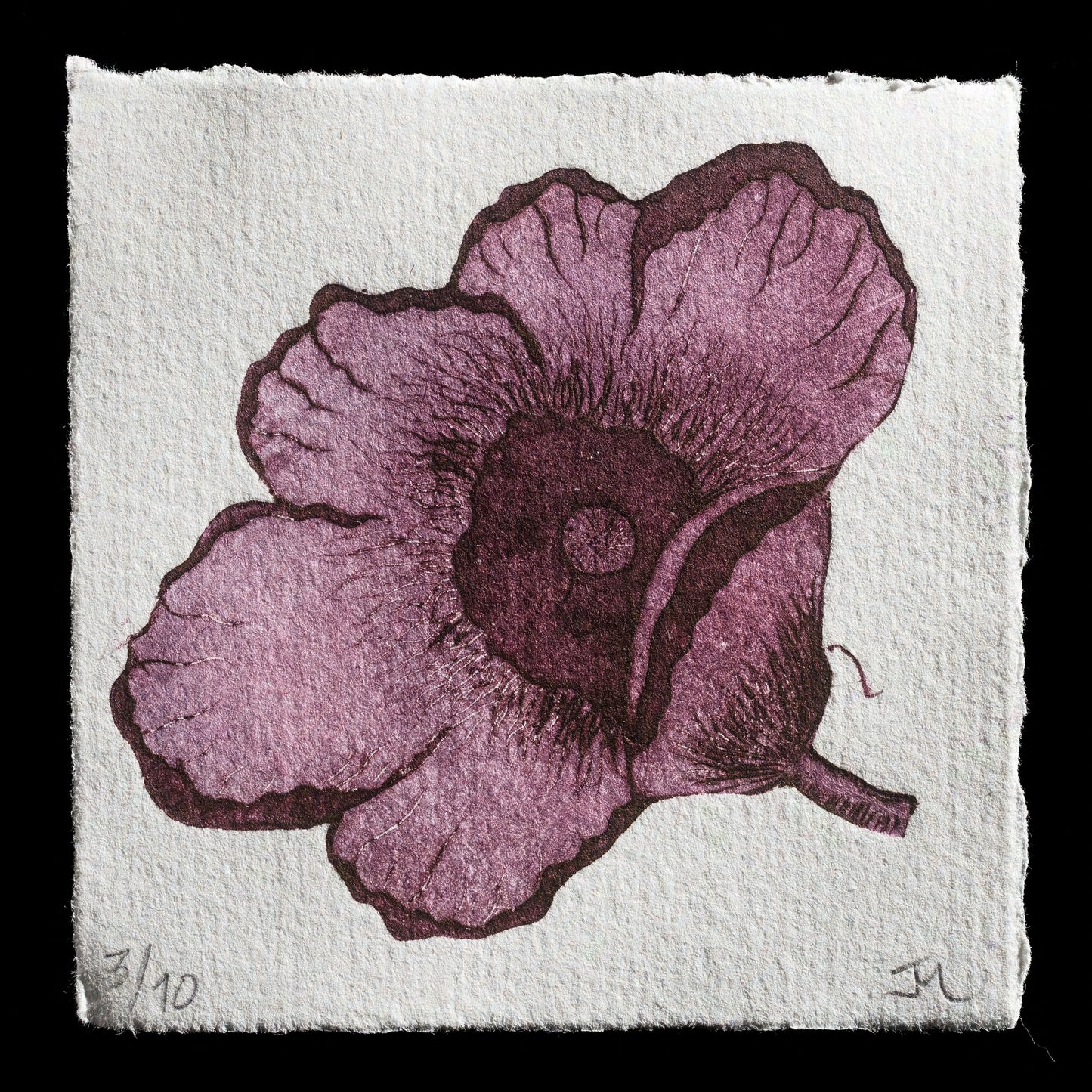 "Poppy" by Jess Milhausen