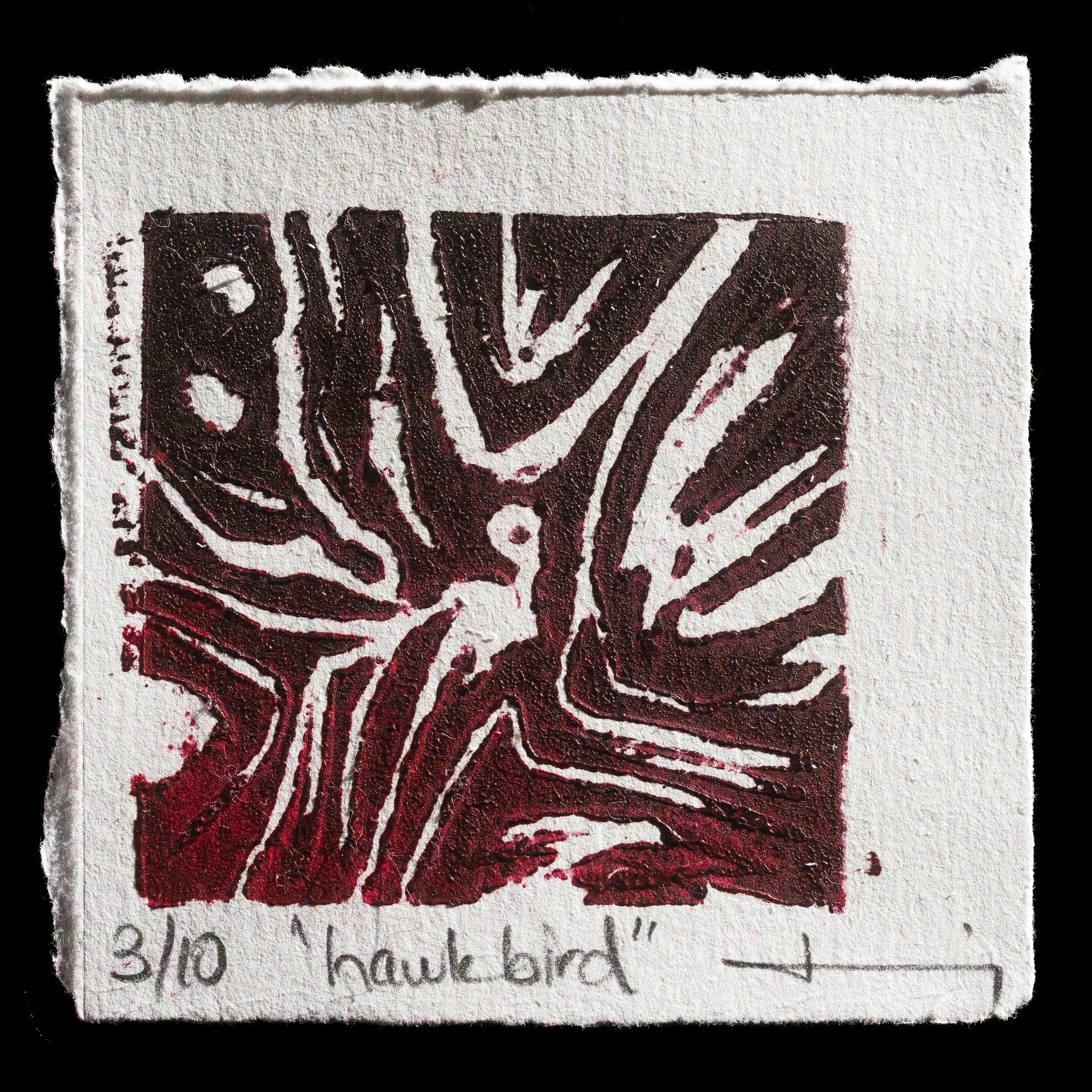 "Hawk bird " by Deniz Orkus
