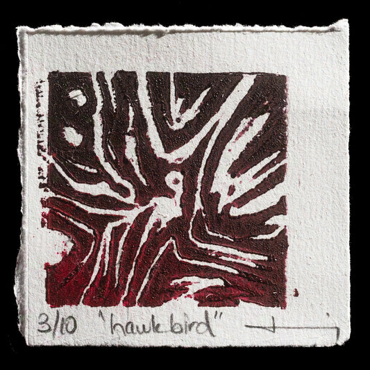 "Hawk bird " by Deniz Orkus