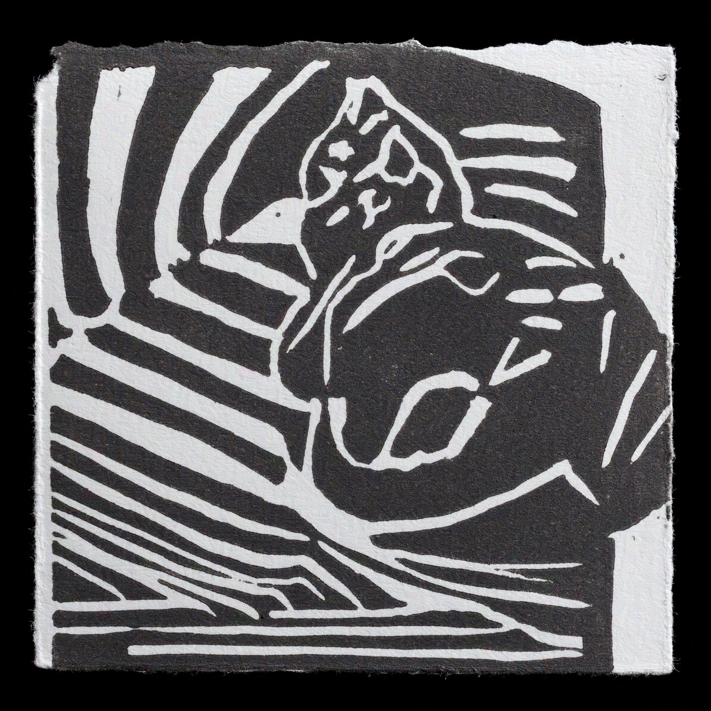 This print, titled "The Cat" by Gardy B�chel, is an example of intaglio printing. The artwork features a cat in a striking pose, rendered with bold lines and deep shadows that create a sense of depth and texture. The color palette is predominantly dark, with shades of black and gray dominating the composition.