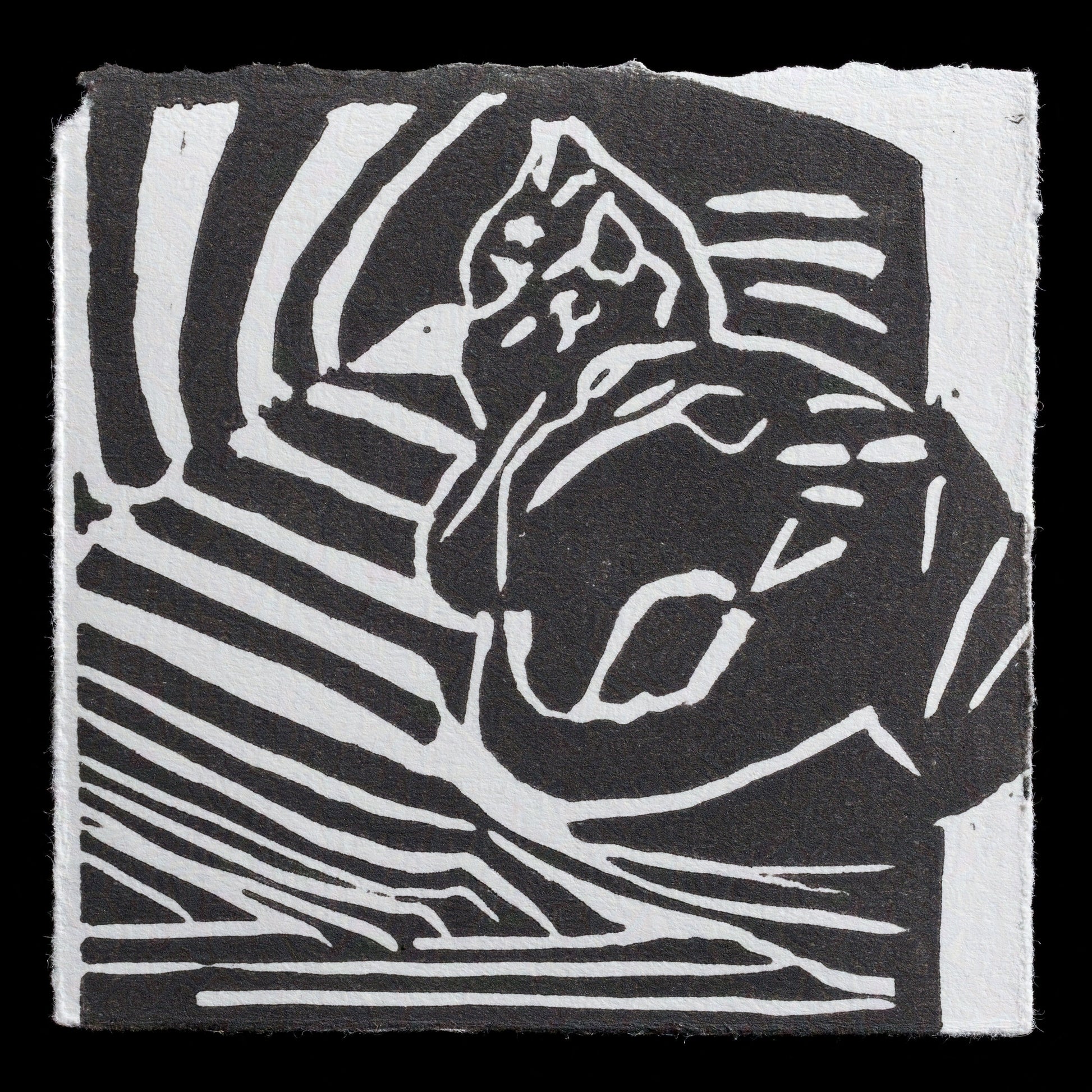 This print, titled "The Cat" by Gardy B�chel, is an example of intaglio printing. The artwork features a cat in a striking pose, rendered with bold lines and deep shadows that create a sense of depth and texture. The color palette is predominantly dark, with shades of black and gray dominating the composition.