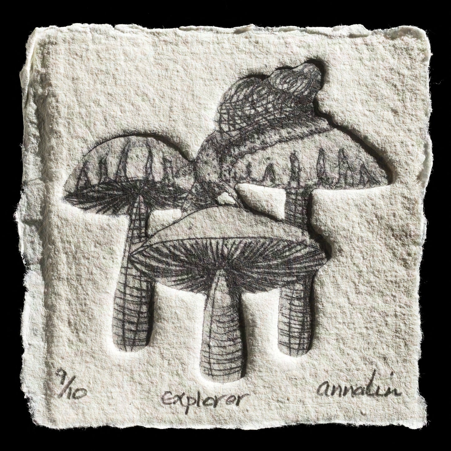 "Explorer" by Annalin