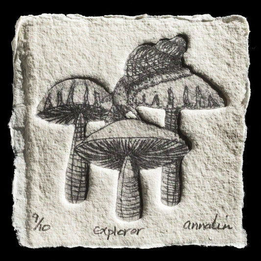 "Explorer" by Annalin