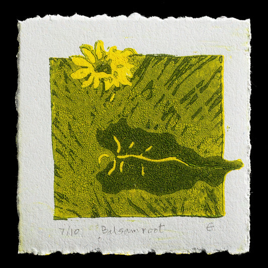 "Balsamroot" by Elizabeth Sigalet