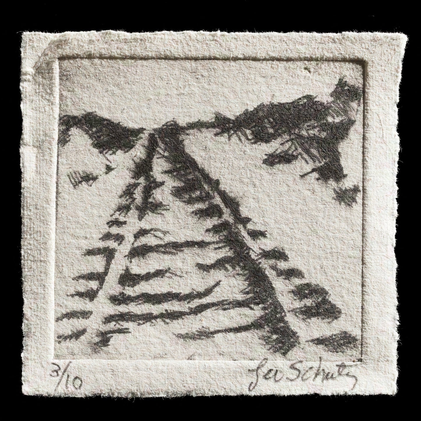 "Tracks" by Lee Schultz