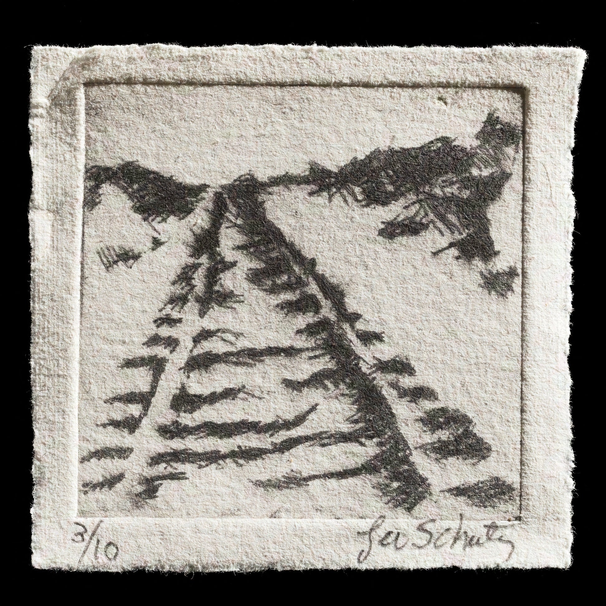"Tracks" by Lee Schultz