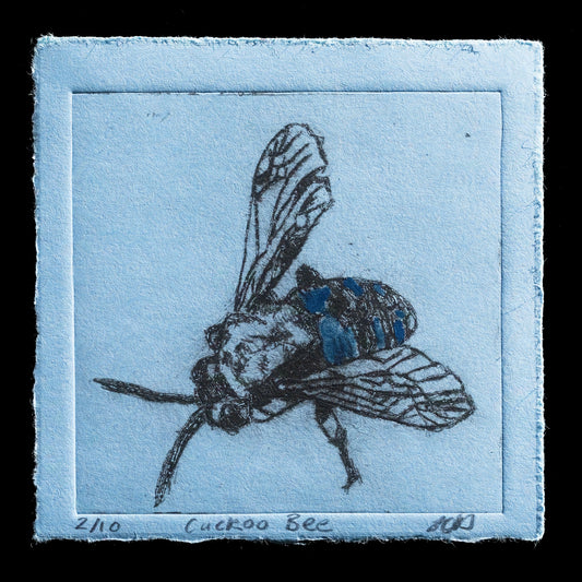 "Cuckoo Bee" by Heather Davidson 