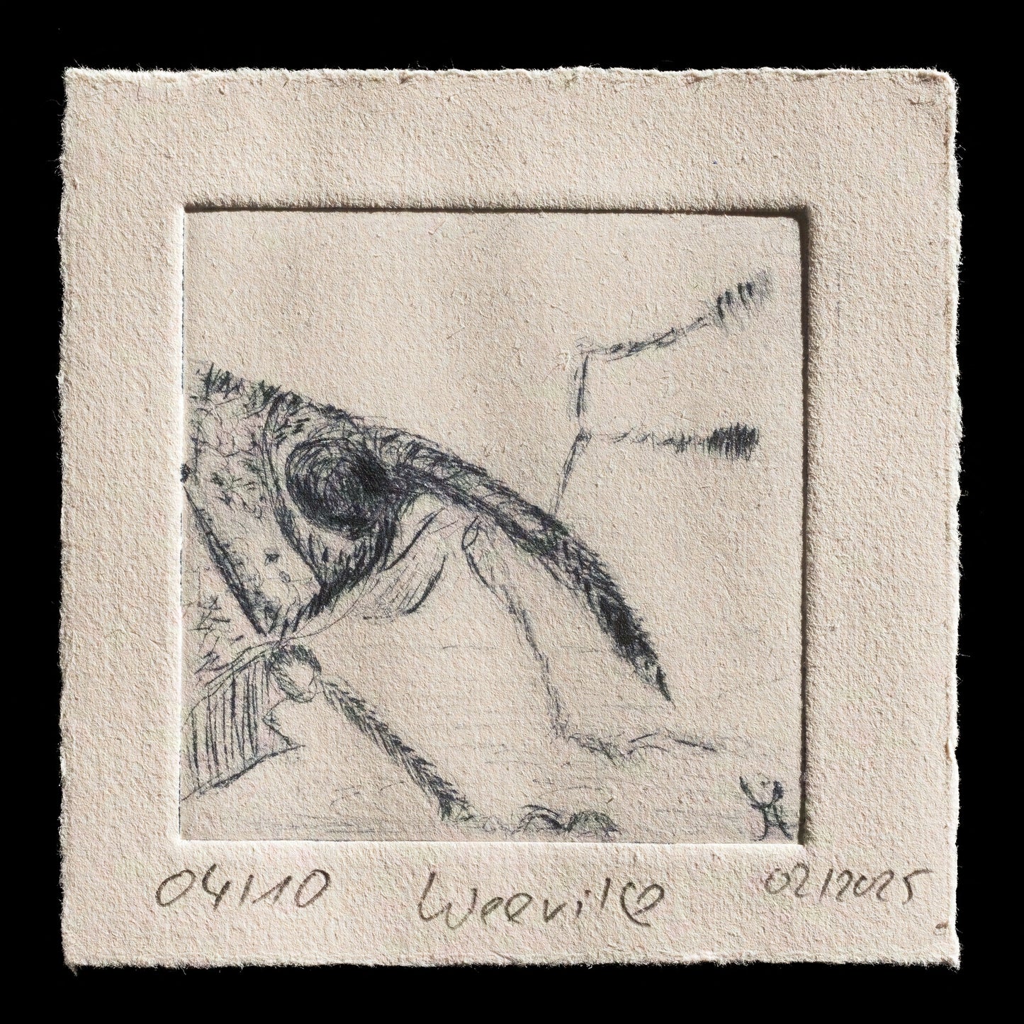 "weevil ??" by Ursula Häberle