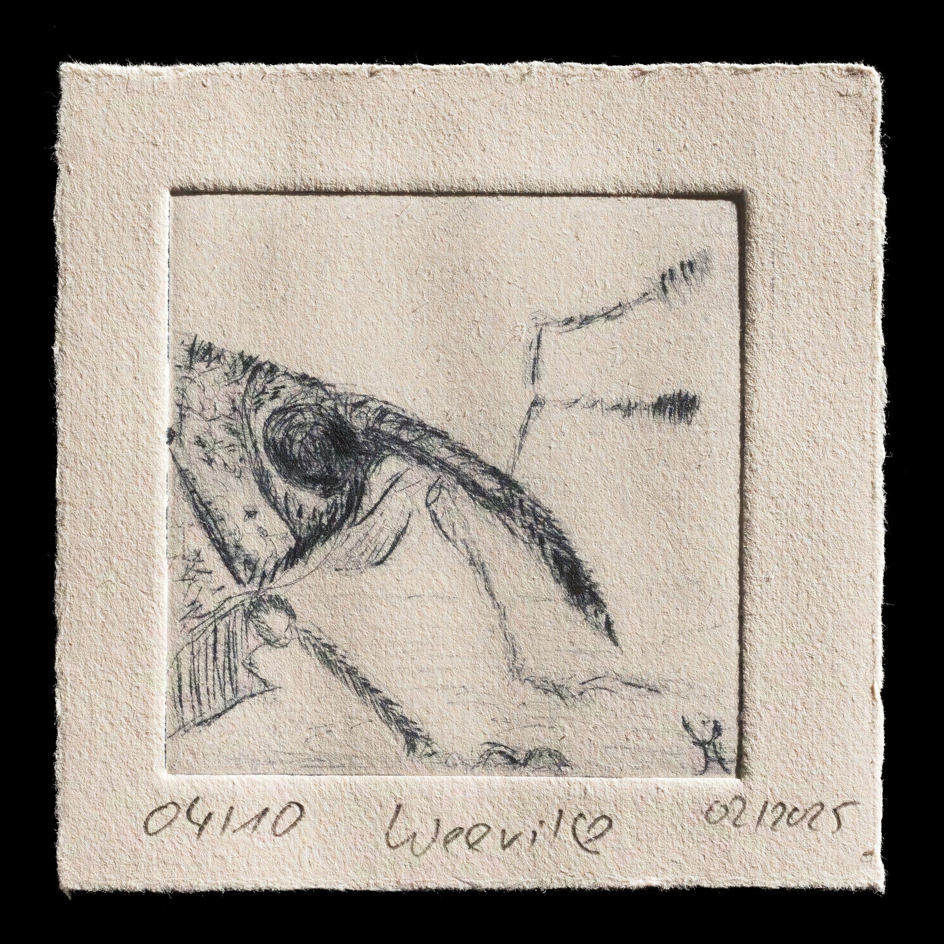 "weevil ??" by Ursula Häberle