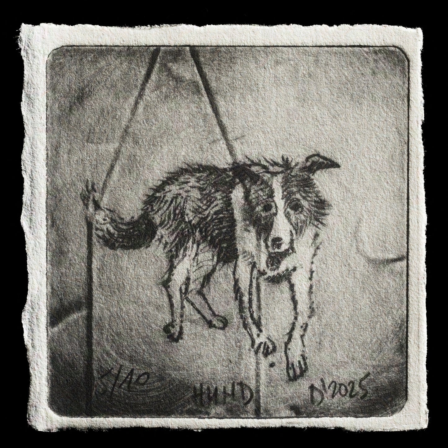 "Roni" by Deniz Co?kun