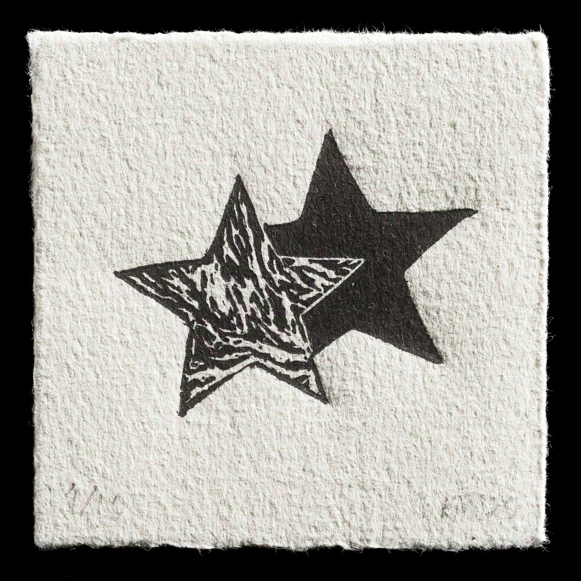 "Year of the Star" by Kate MacDonald