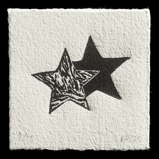 "Year of the Star" by Kate MacDonald